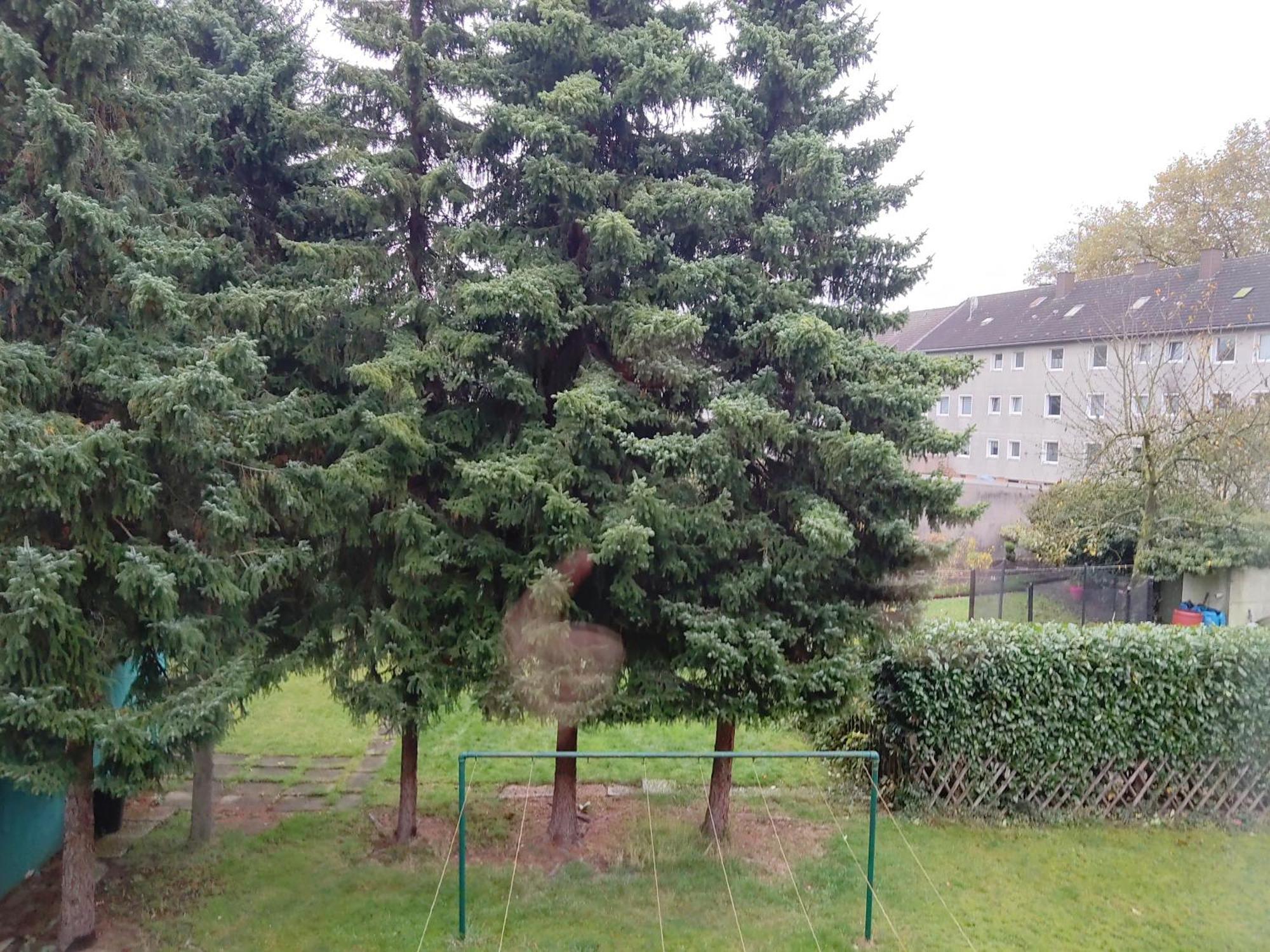 Komfortables Und Ruhiges Apartment Gelsenkirchen Esterno foto